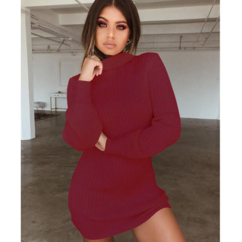 Women High Neck Slim Knitted Solid Wool Mini Dresses Fashion Ladies Basic Long Sleeve Winter Autumn Warm Dresses