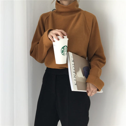 Autumn New Women Sweater Casual Loose Turtleneck Knitted Jumpers 2018 Long Batwing Sleeve Crocheted Pullovers Streetwear Winter